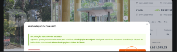 Painel de Minhas Participações com status da Arrematação em Conjunto